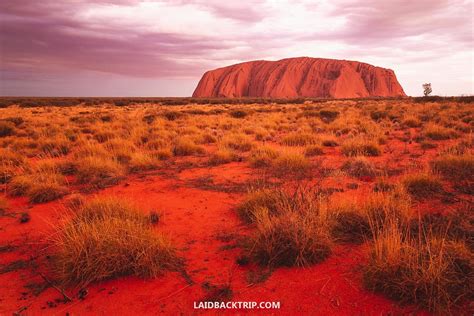 A Guide to Uluru - Kata Tjuta National Park — LAIDBACK TRIP