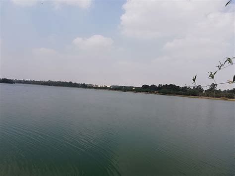 Jakkur Lake - Paradise for Birds - Bengaluru | birdwatching area