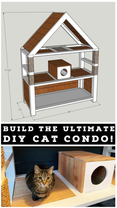 Ultimate DIY Cat Condo - Lazy Guy DIY