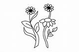 Flower Outline Vector Coloring Page Graphic By Coxvect · Creative Fabrica sketch template