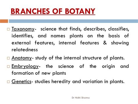 Botany an overview