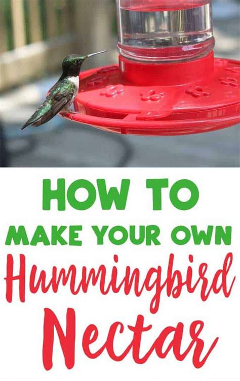 Homemade Hummingbird Nectar | Recipe | Hummingbird nectar, Homemade ...