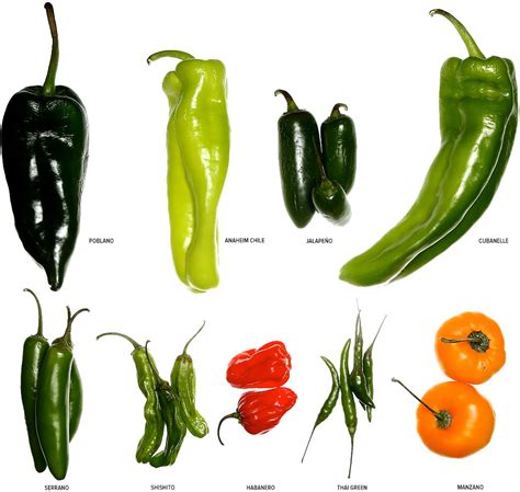 All About Chile, Chili & Chilli & The Low FODMAP Diet - FODMAP Everyday