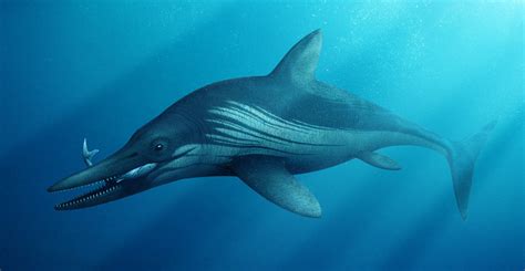 Medical scans reveal secrets of a massive extinct marine reptile • Earth.com