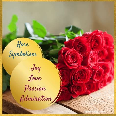 Rose – Symbolism and Meaning - Symbol Sage