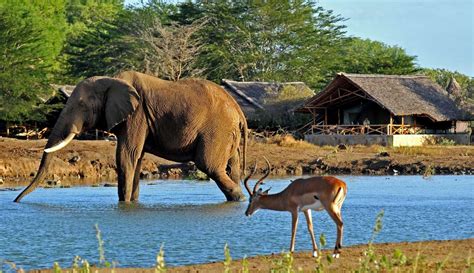 Reference map | Tsavo East National Park in Kenya | Expert Africa