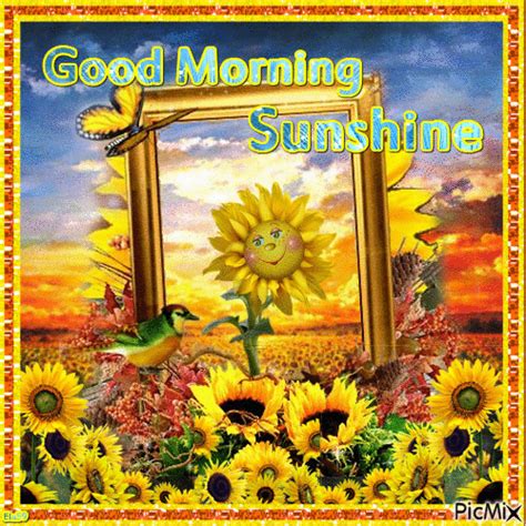 Good Morning Sunshine - Free animated GIF - PicMix