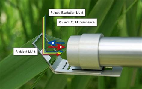 MONITORING-PAM Chlorophyll Fluorometer | WALZ