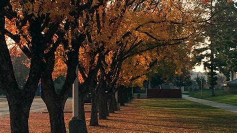 Fresno State Campus News | Photo of the week