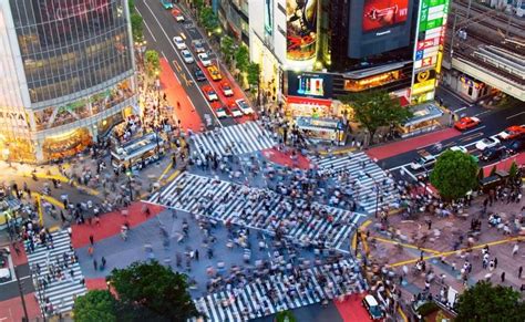 Shibuya Square, Tokyo | Japan travel, Tokyo travel, Japan landscape