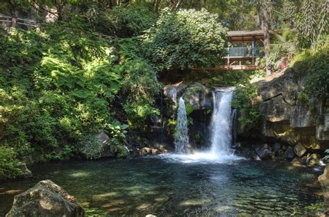 Parque nacional de Uruapan | Parques, Parques nacionales, Viajes en mexico