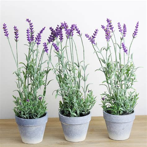 artificial lavender plant in pot by marquis & dawe | notonthehighstreet.com