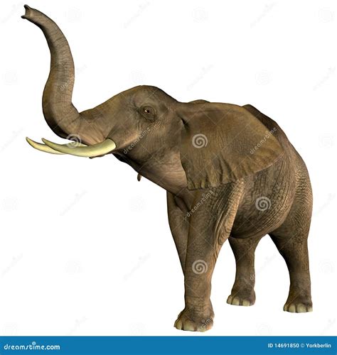 Elephant Trumpeting Stock Photo - Image: 14691850