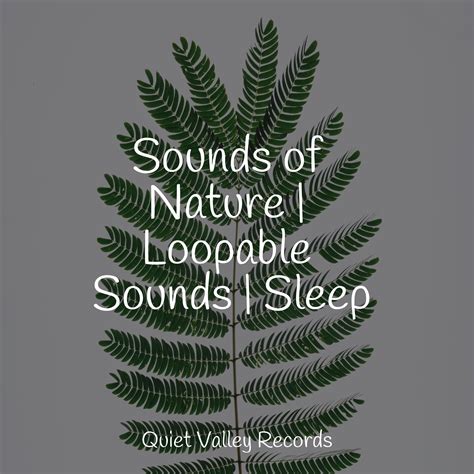 Sounds of Nature | Loopable Sounds | Sleep - PowerThoughts Meditation Club - 专辑 - 网易云音乐