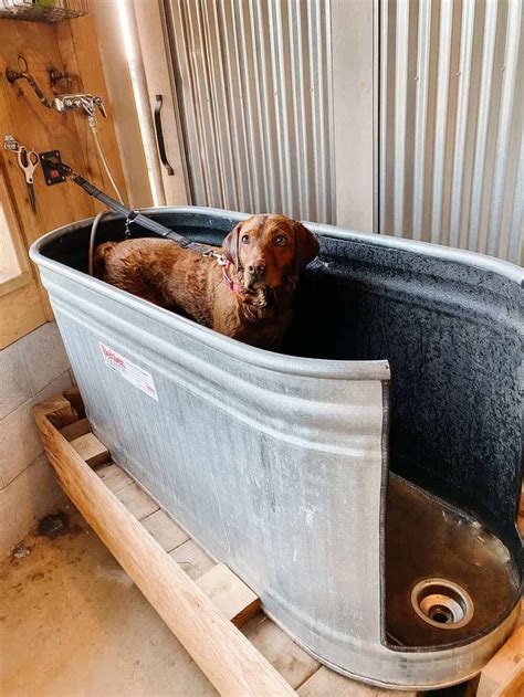 31 Easy Homemade Dog Bath Tubs & Washing Station Ideas