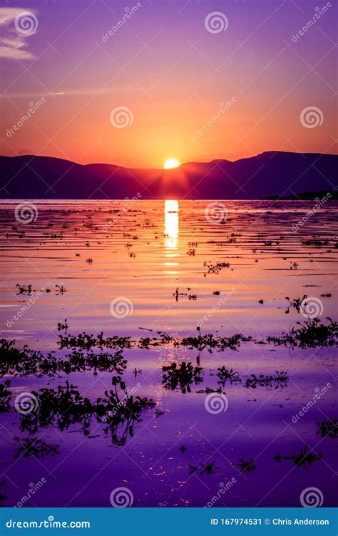 Deep Majestic Purple Sunset Reflecting Over a Rippled Lake Chapala in Ajijic Mexico Stock Image ...