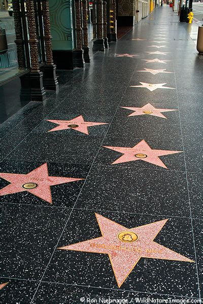 Hollywood Walk of Fame Turns 50 | Daily Contributor