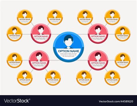 Circular organizational chart infographic design Vector Image