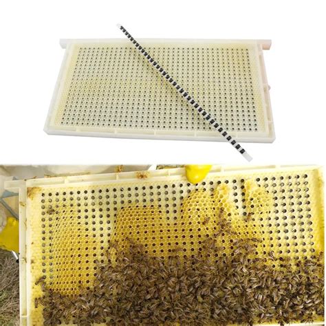 Queen Rearing System Queen Rearing And Royal Jelly Producing New No ...