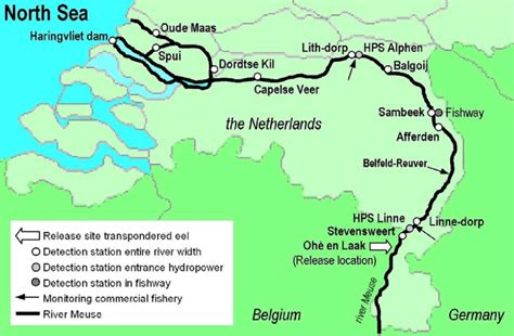 Map of the Dutch section of the River Meuse. | Download Scientific Diagram