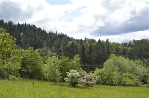 Ridgeline Trail - Hike Oregon