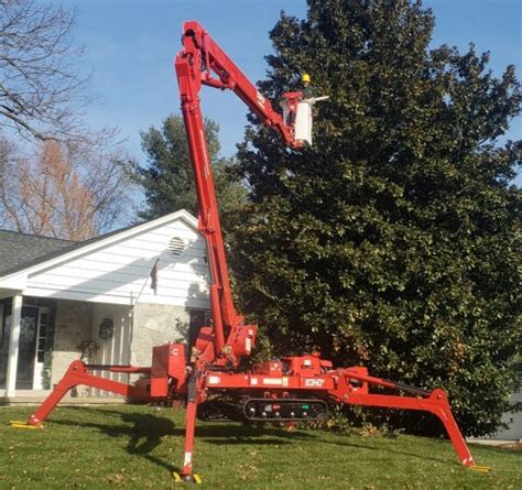 Tree Trimming and Shrub Pruning - Stein Tree Services