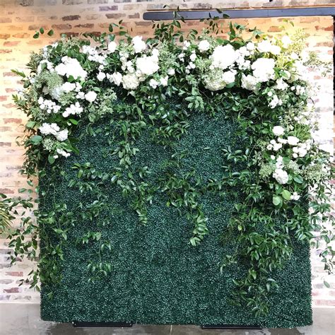 Boxwood backdrop | Flower wall wedding, Flower backdrop wedding, Flower wall backdrop