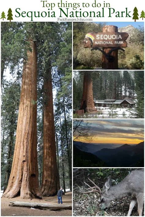 Things to do in Sequoia National Park | Park Ranger John