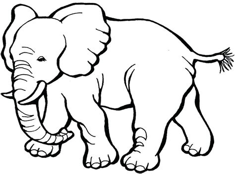 Baby Zoo Animal Coloring Pages at GetColorings.com | Free printable colorings pages to print and ...