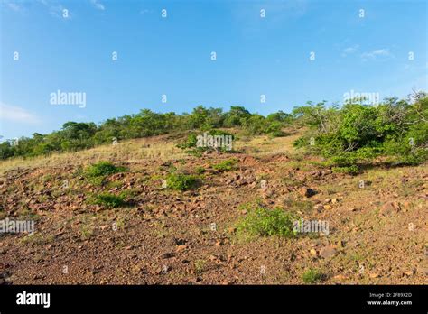 Sertao landscape in Oeiras, Piaui (Northeast Brazil Stock Photo - Alamy