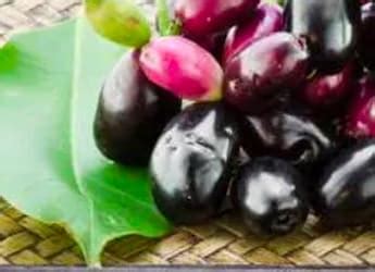 Side Effects Of Jamun | Know All About Side Effects Of Jamun at NDTV Food