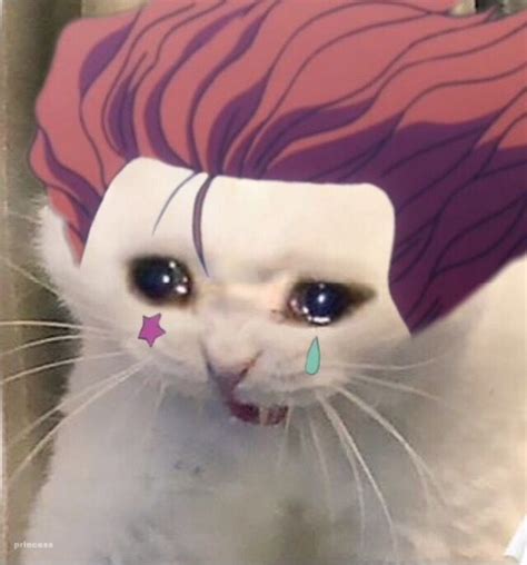 hisoka|hisocat|pfp|meme | Милые рисунки, Аниме-сериалы, Мемы