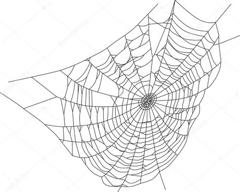 Spider web silhouette illustration Stock Vector Image by ©Dr.PAS #8544671