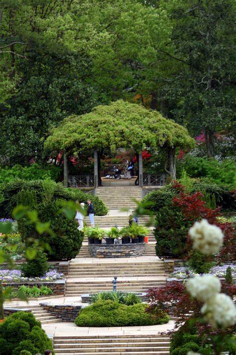 an outdoor garden with steps leading up to trees and flowers on either side of the walkway