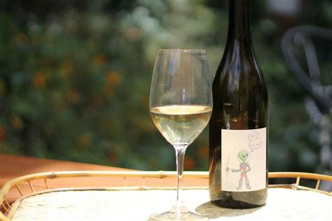 Natural wine for beginners: Six exemplary California whites and reds