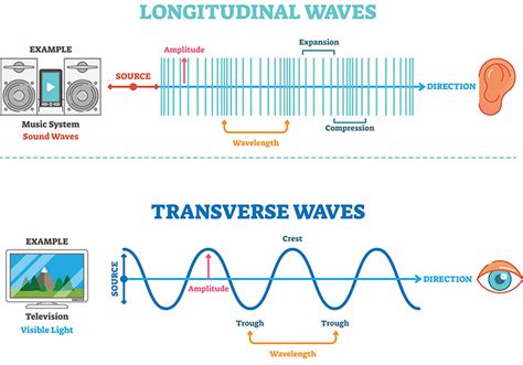 Are Light Waves Transverse or Longitudinal? The Interesting Answer ...