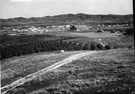 Yorba Linda Orange Groves with Sunkist Building | Yorba linda, Vintage los angeles, Yorba linda ...