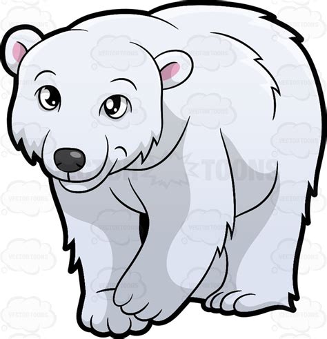 Polar Bear Clipart | Free download on ClipArtMag