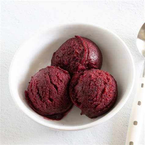 Easy Blueberry Sorbet Recipe