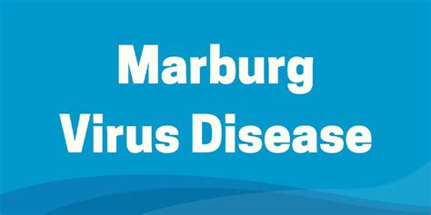 WHO confirms Marburg disease outbreak in Equatorial Guinea | marburg ...