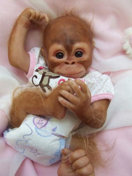 Reborn OOAK Baby Orangutan Monkey Girl EMMA (Denise Pratt Bindi Kit) | eBay