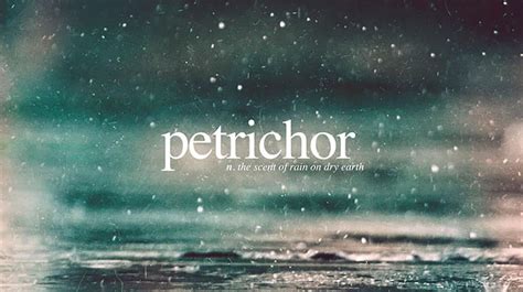 ¨Petrichor¨ is the word used to describe the smell of rain