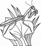 Free Printable Bug Coloring Pages For Kids sketch template