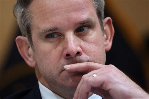 Adam Kinzinger’s Listing for Signed January 6 Reports Briefly Taken ...