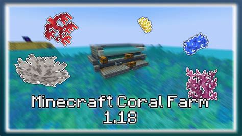 How to Make an Easy Coral Fan Farm | Minecraft 1.18 - YouTube