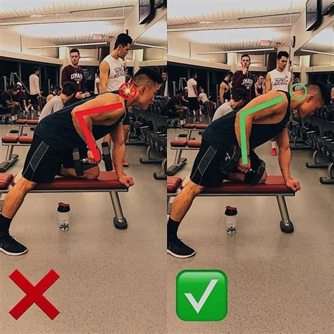 6 Day Dumbbell Row Exercise For Back Muscles for Beginner | Fitness and ...