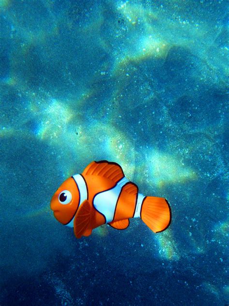 Finding Nemo by SublimeBudd on DeviantArt