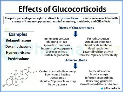 Glucocorticoid effects | Pharmacology nursing, Pharmacology, Nursing study