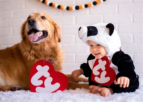 Beanie FUR-Baby Dog Costume// Felt Halloween Dog Costume// TY | Etsy