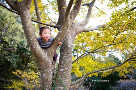 Climb a Tree! - NWF Green Hour